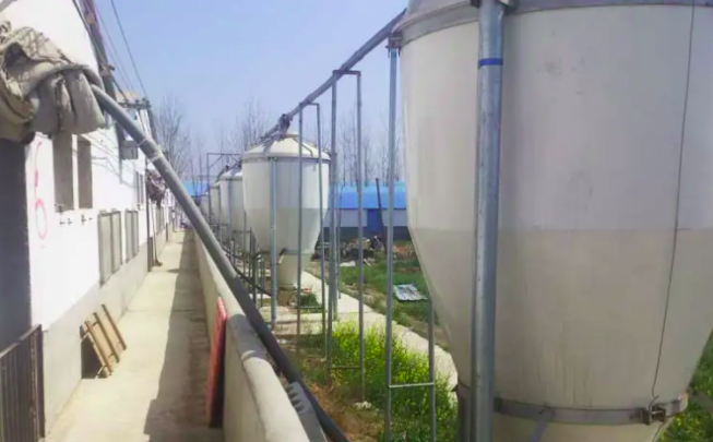 養(yǎng)豬污水處理設(shè)備一套多少錢？掌握這三點幫助你節(jié)約成本