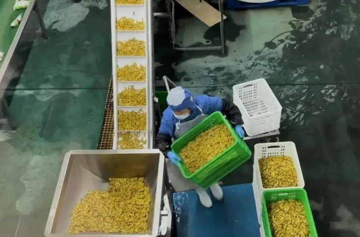 蔬菜污水處理設(shè)備-專為蔬菜清洗加工而生-1 蔬菜污水處理設(shè)備-專為蔬菜清洗加工而生-1