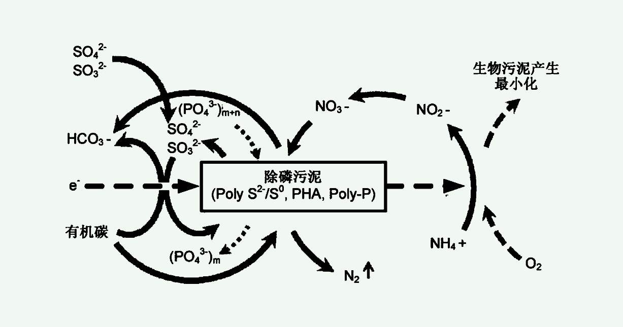 四種主要的生物脫氮工藝(生物脫氮的過程及原理) 四種主要的生物脫氮工藝(生物脫氮的過程及原理)
