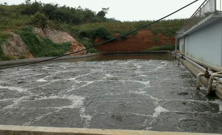 養(yǎng)殖場(chǎng)廢水處理工藝有哪些？（養(yǎng)殖污水便宜處理方法）