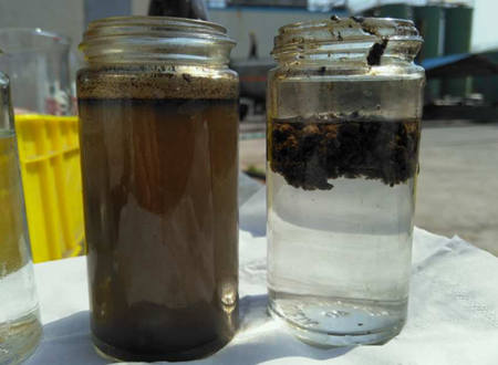 AO工藝出水SS高什么原因|怎么辦？